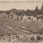 Carte postale : Scène de la vie du village