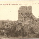 Carte postale : ruines du chateau de Beaumes de Venise