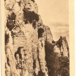 Carte postale : Dentelles de Montmirail, Les Florets